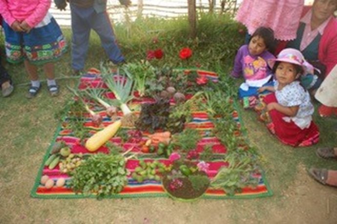 Landwirtschaftsprojekt in Peru